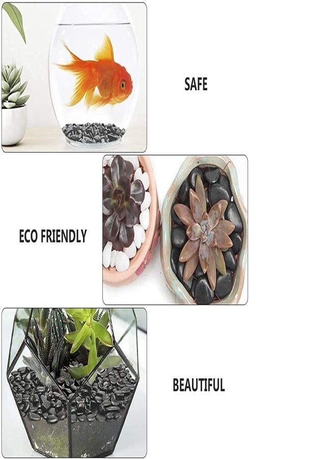 Ercole® Decorative & Stylish Polished Small Black Marble Pebbles for Aquariums Fish Tanks Vase Fillers Home Garden Decor (Black-Small, 500 Grams) - Image 3